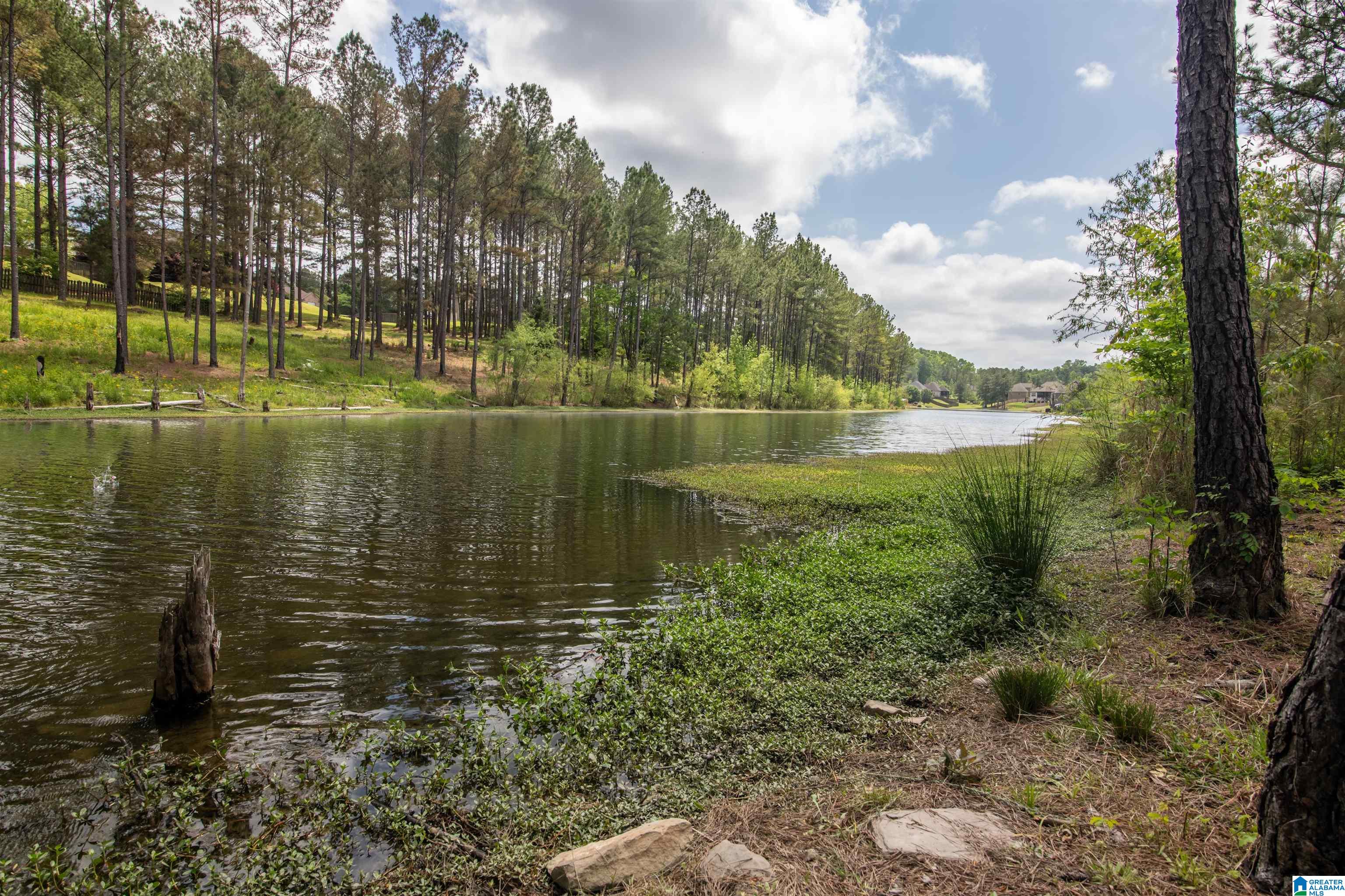 155 LAKESIDE DRIVE