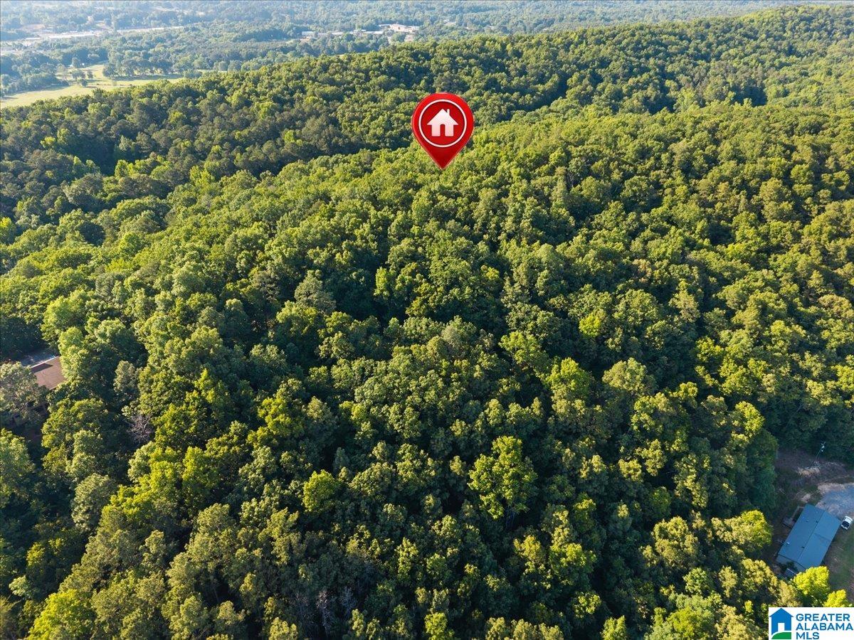 426 OAK RIDGE ROAD
