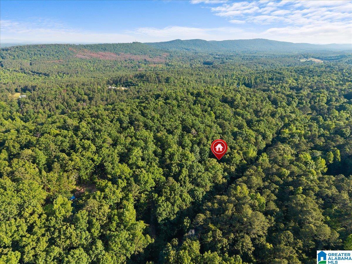 426 OAK RIDGE ROAD