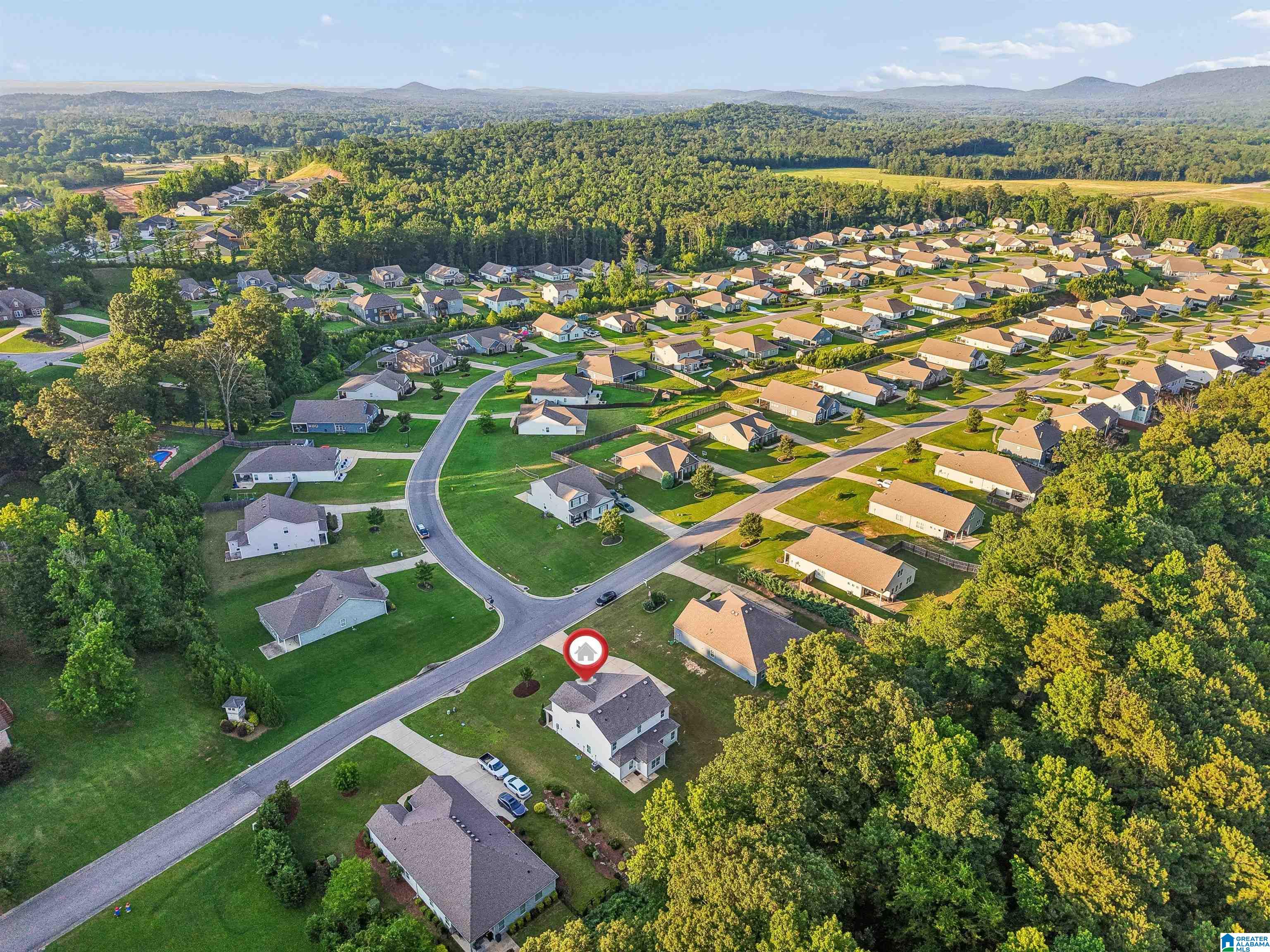 1193 MOUNTAIN LAUREL CIRCLE