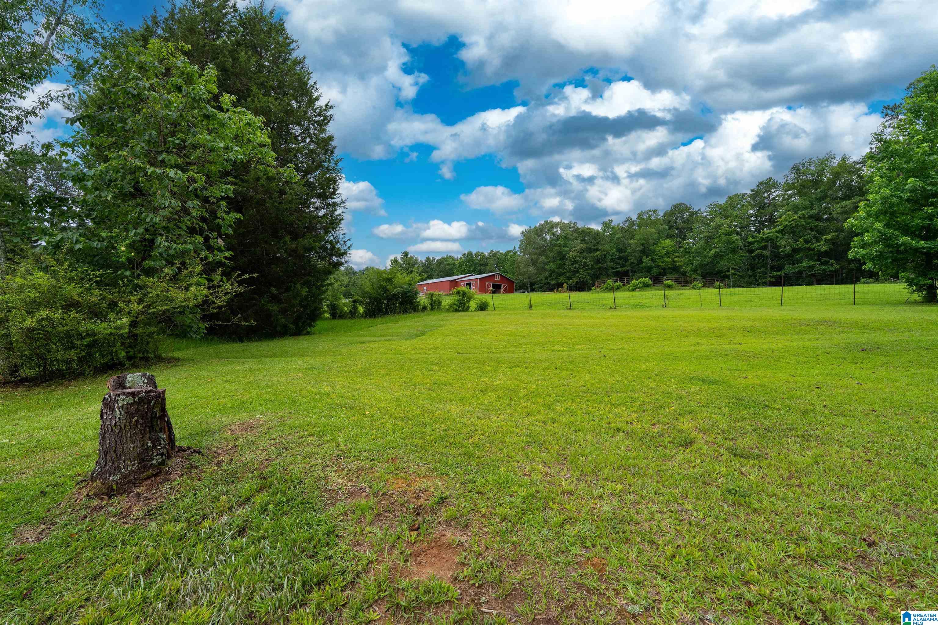 798 BLACKJACK ROAD