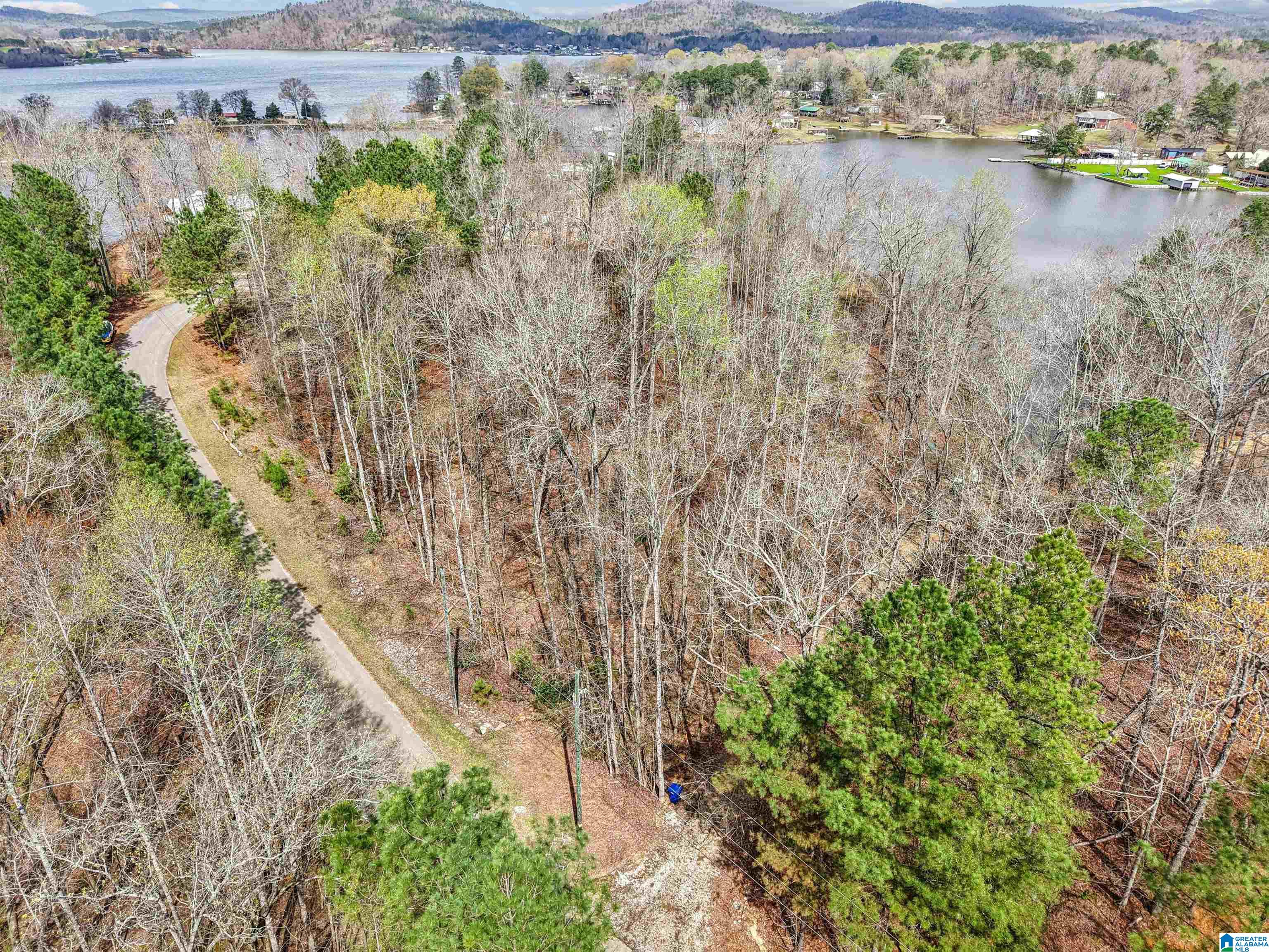 130 MOHAWK COURT LOT 1