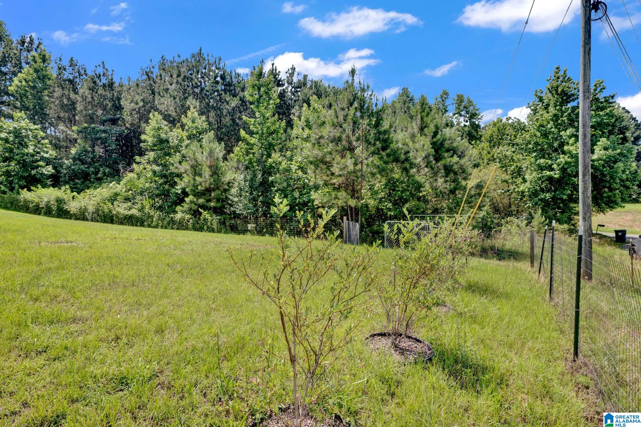 855 CHERRYWOOD COURT