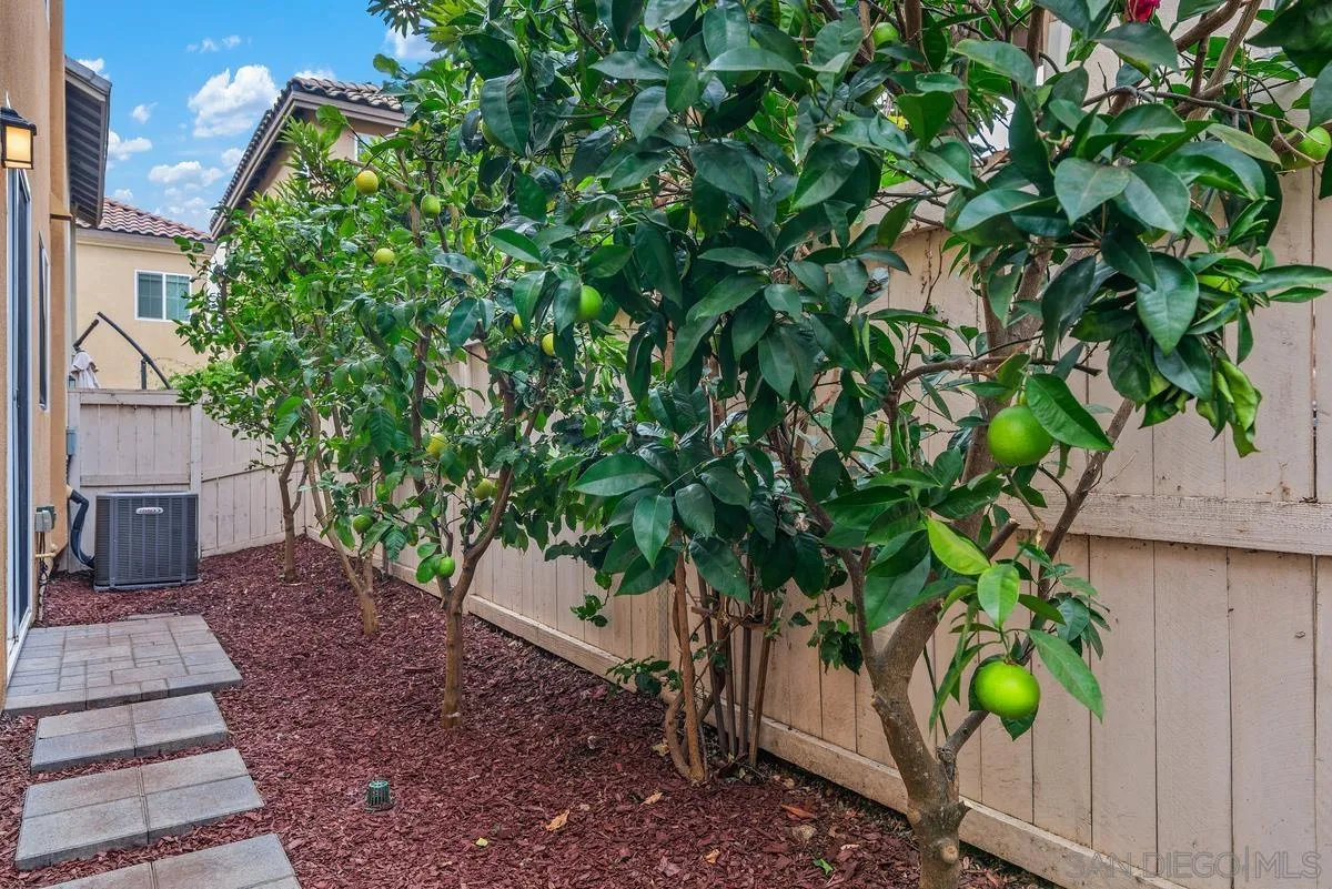 1379 Dolomite Way