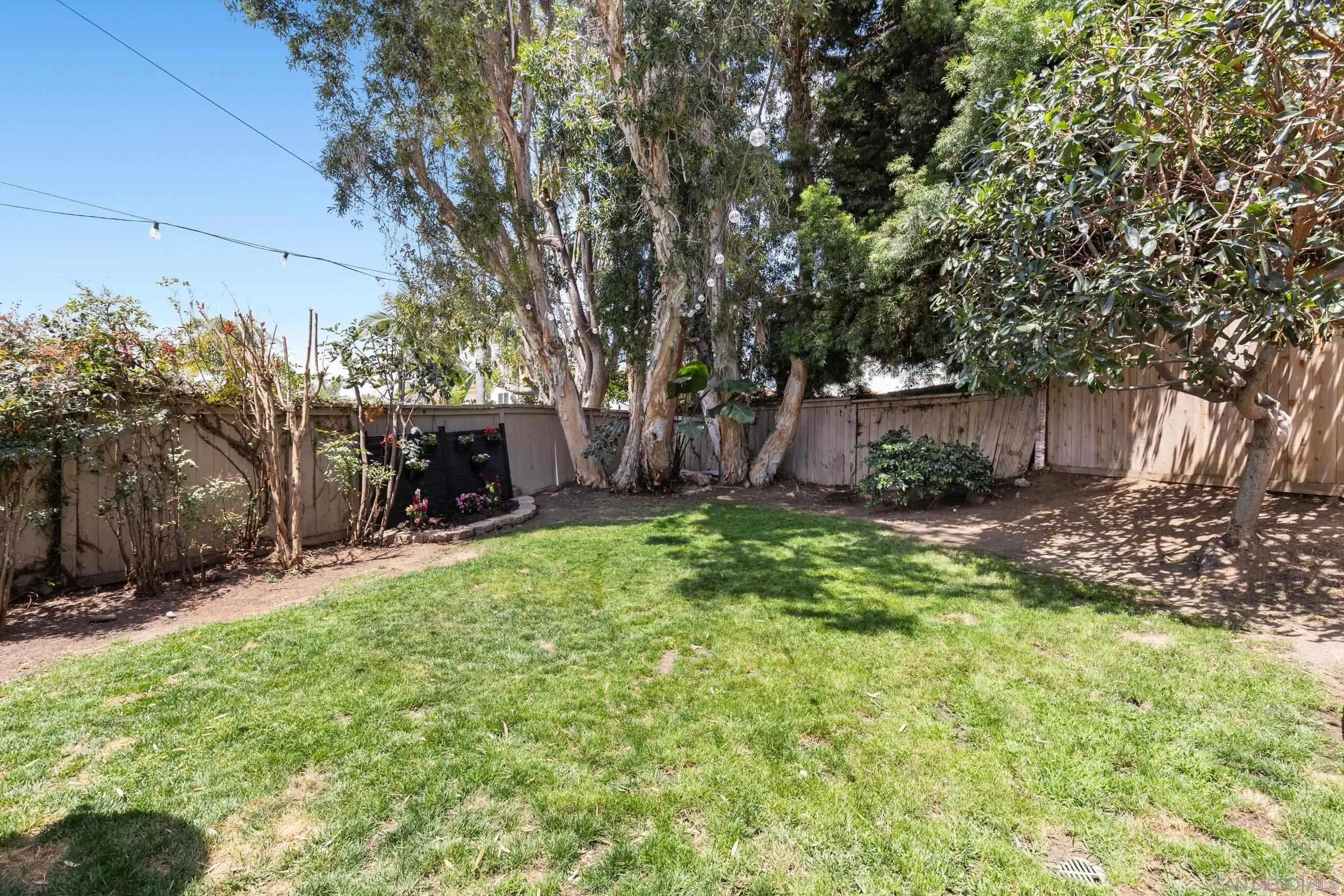 1883 Timber Trail