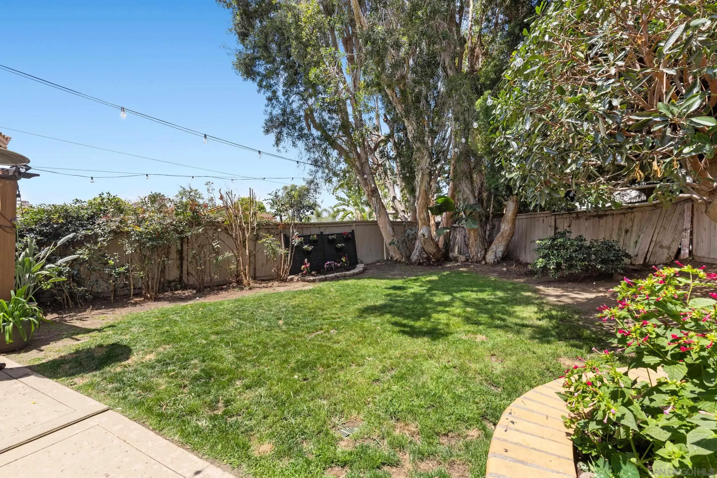 1883 Timber Trail
