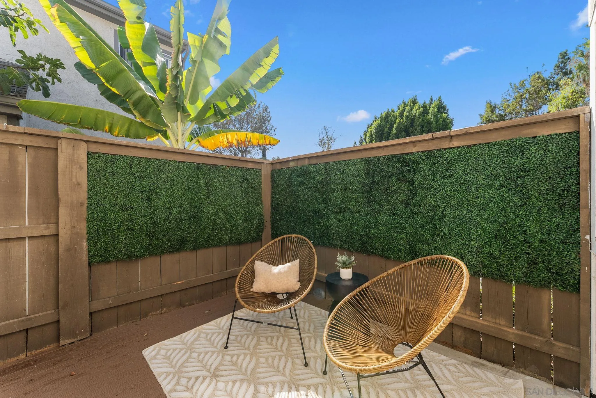 Furnished deck with two woven chairs, hedge-covered privacy fencing, and a banana plant.