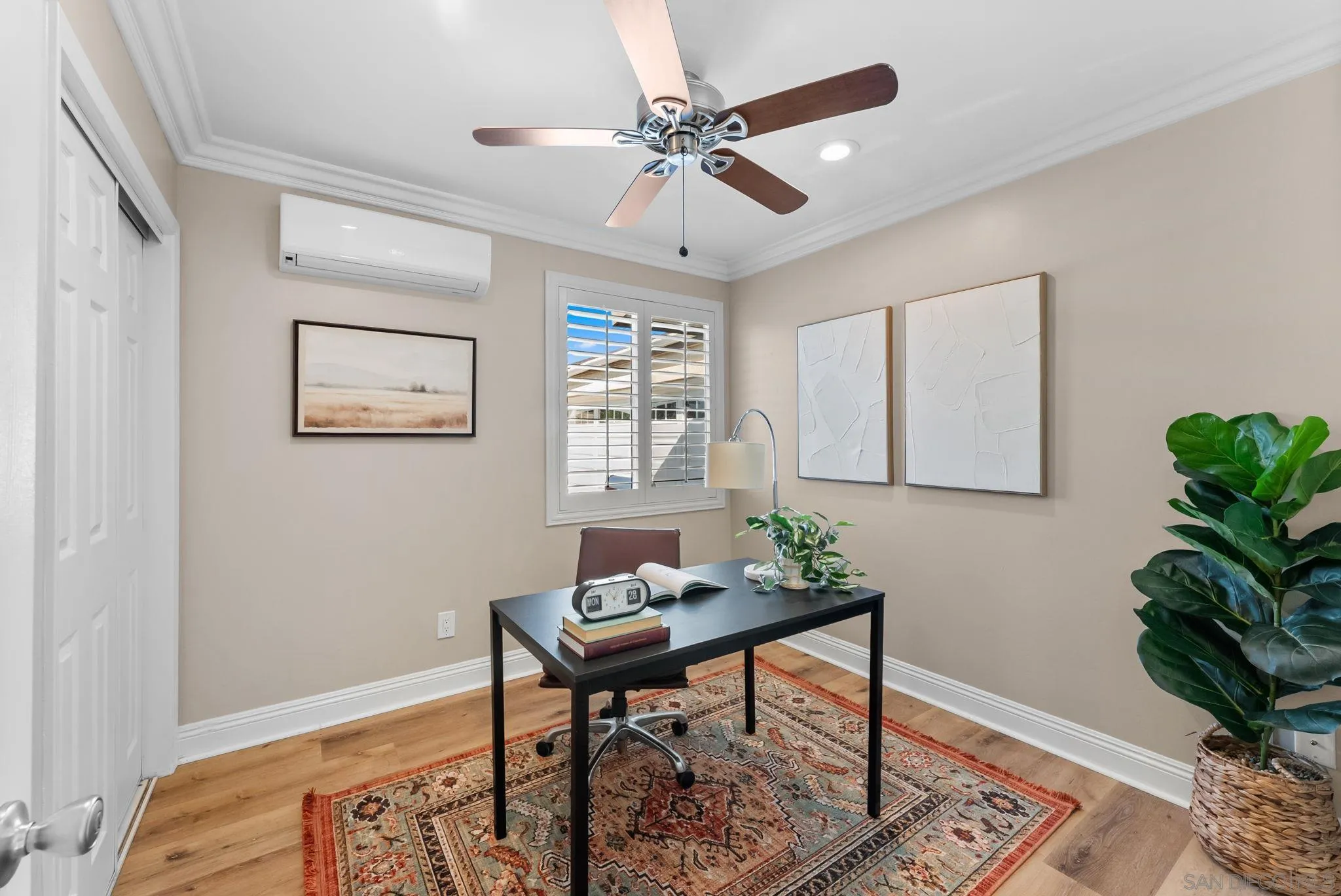 Furnished home office with a black desk, patterned rug, shuttered window, and large potted plant.