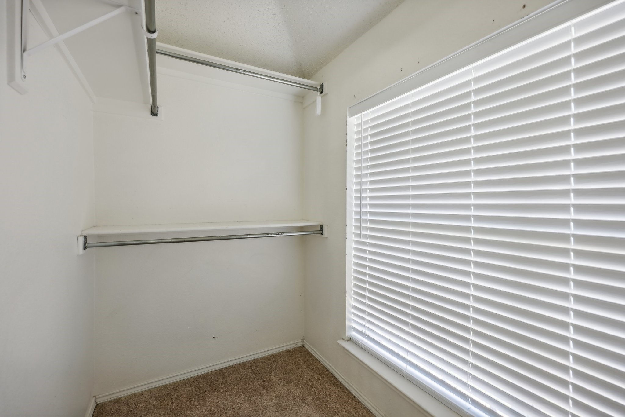 3449 Timber Brook Drive