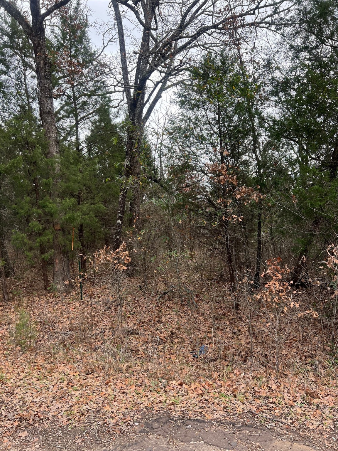 14590 Santa Anna Trail