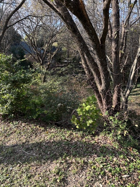 2009 Valley View Drive