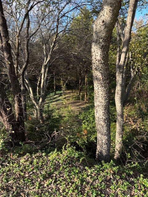 2009 Valley View Drive