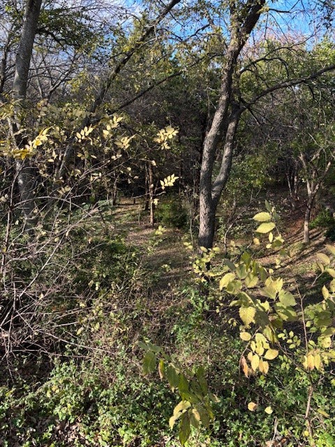 2009 Valley View Drive