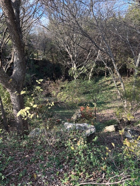 2009 Valley View Drive