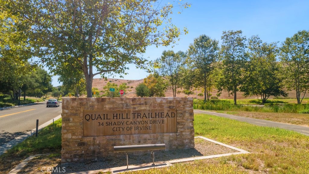 118 Tall Oak