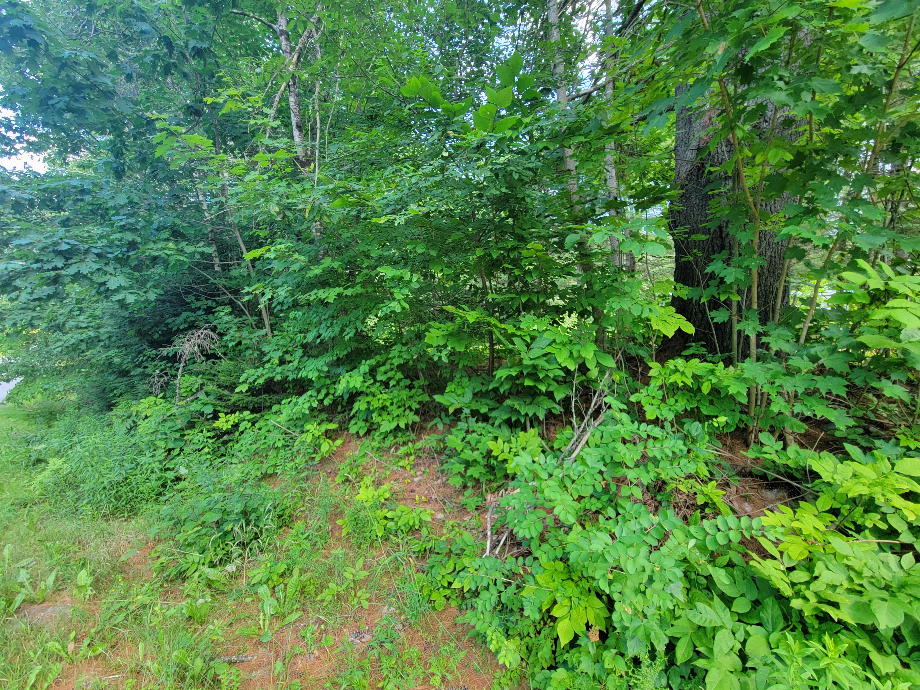 11111 Badgeboro Road