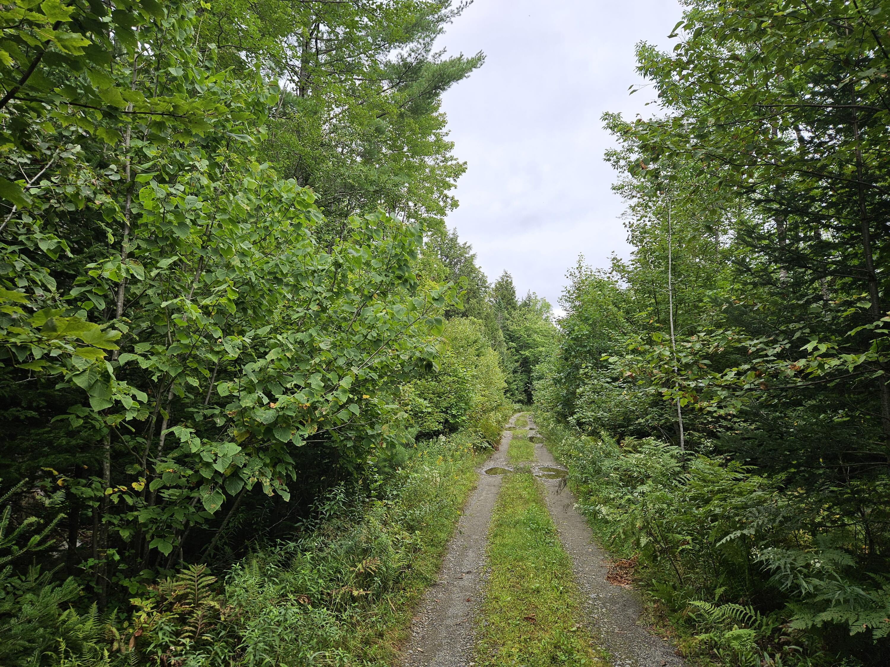 M13 L05 Cunningham Road