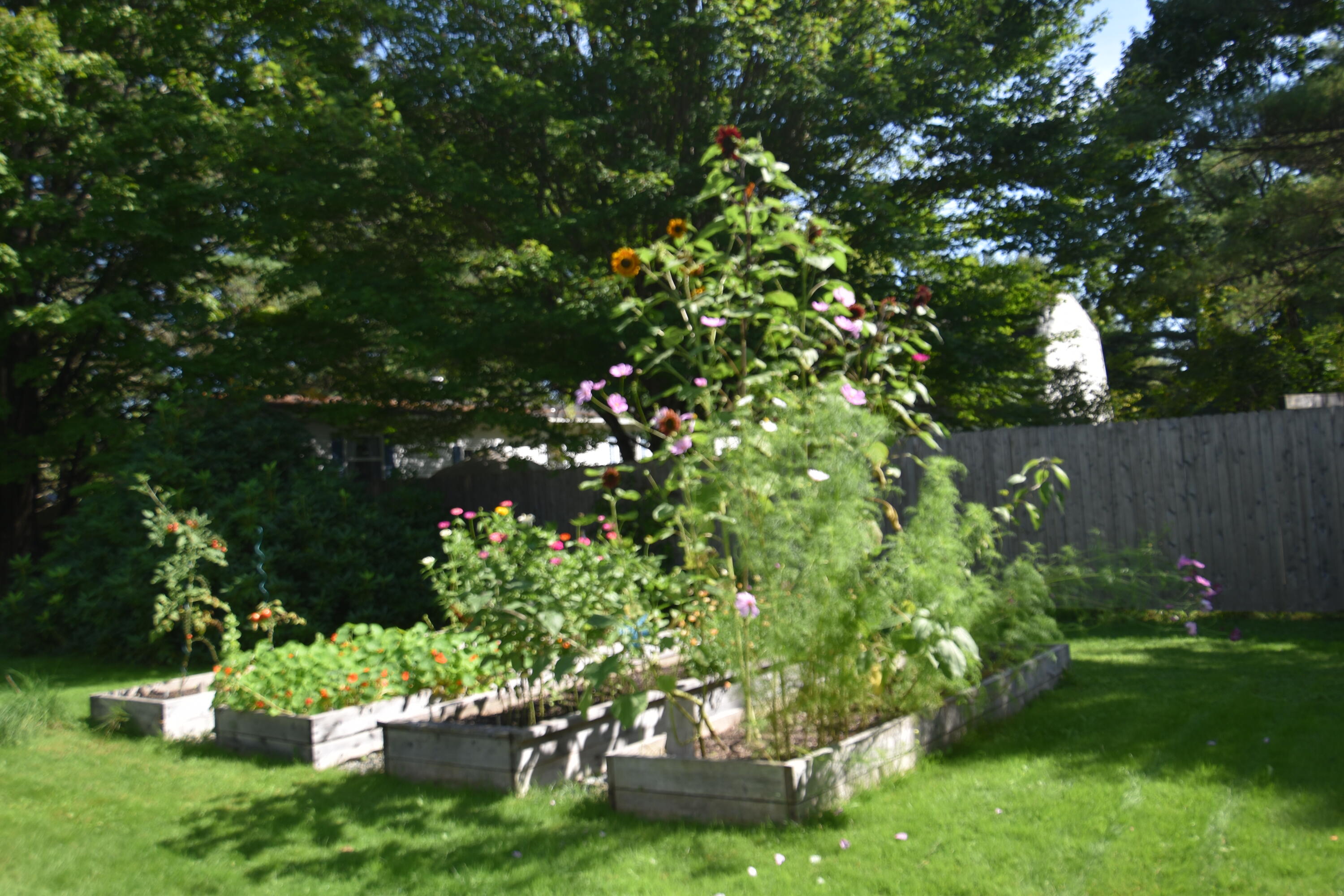 165 Highland Street