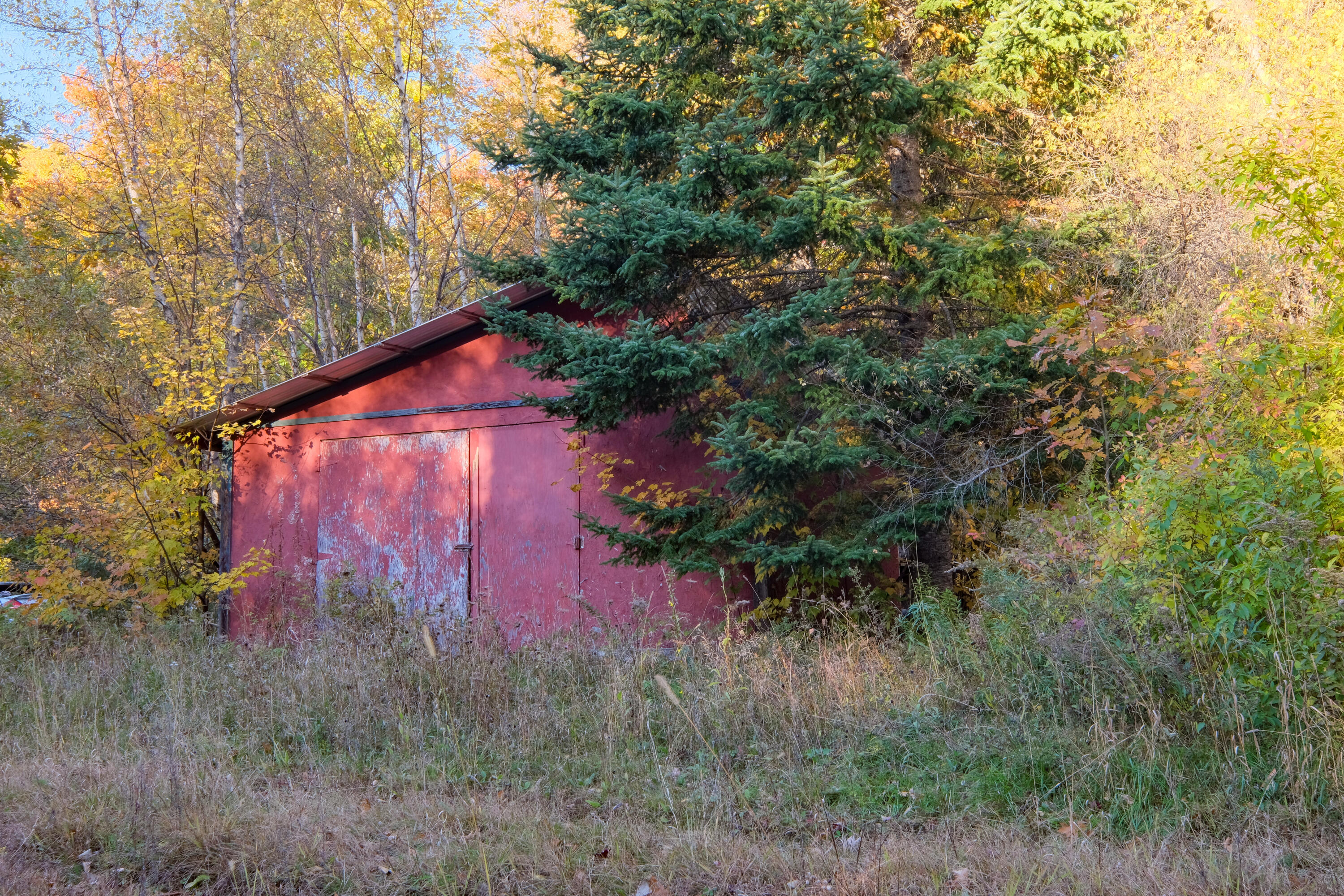 81 Vigue Road