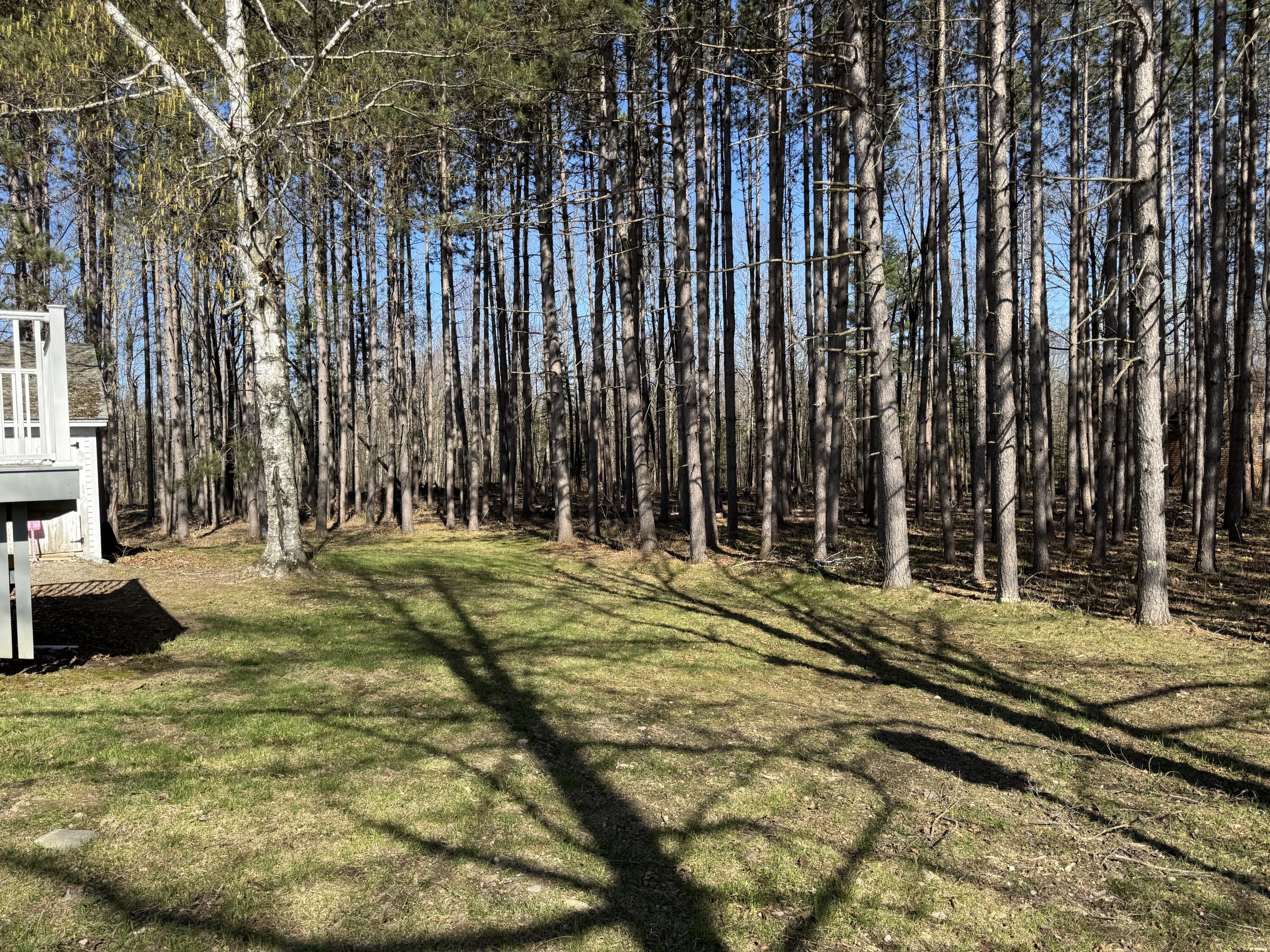 365 Snakeroot Road