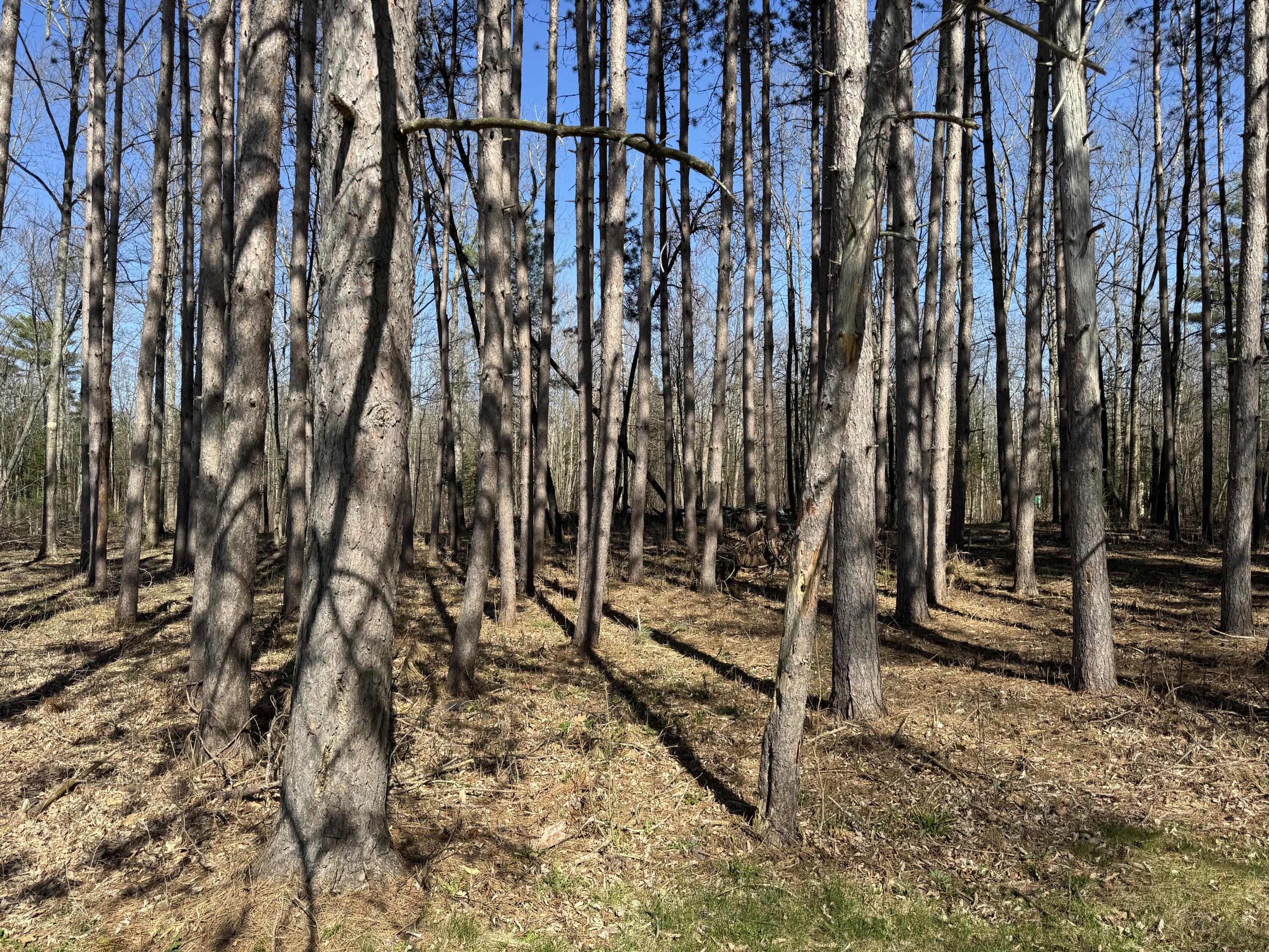 365 Snakeroot Road