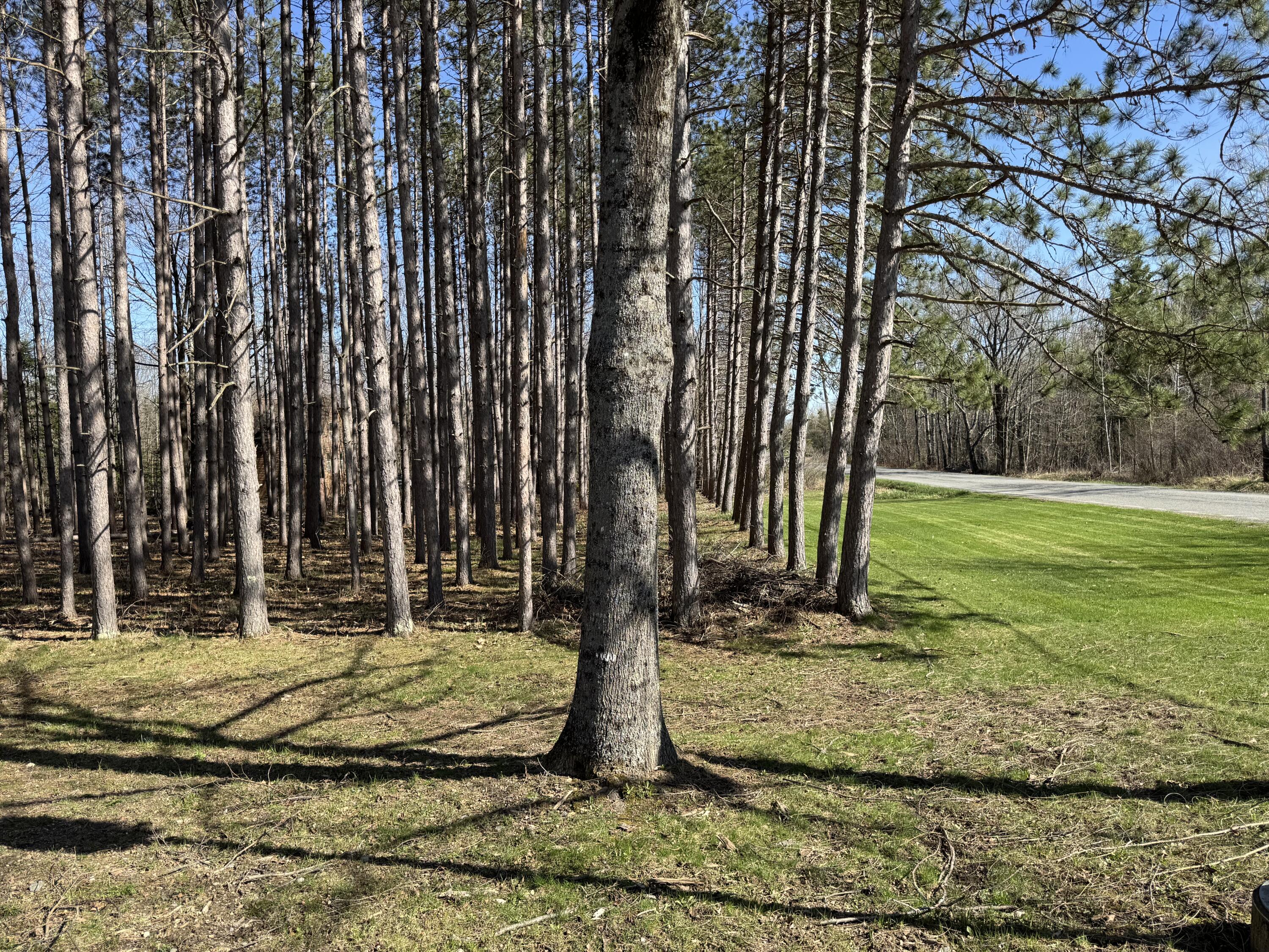365 Snakeroot Road
