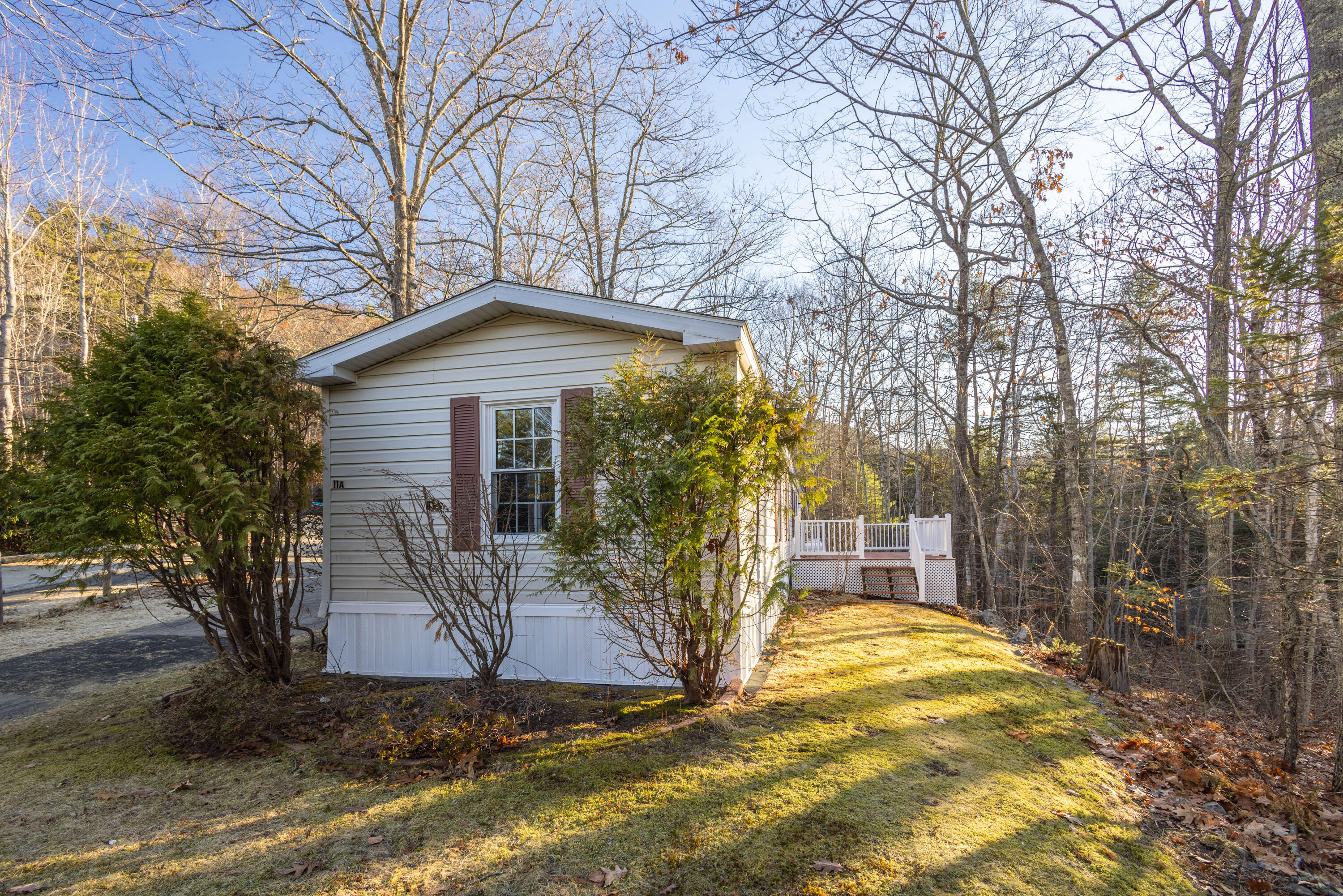 11 A Mountainside Park