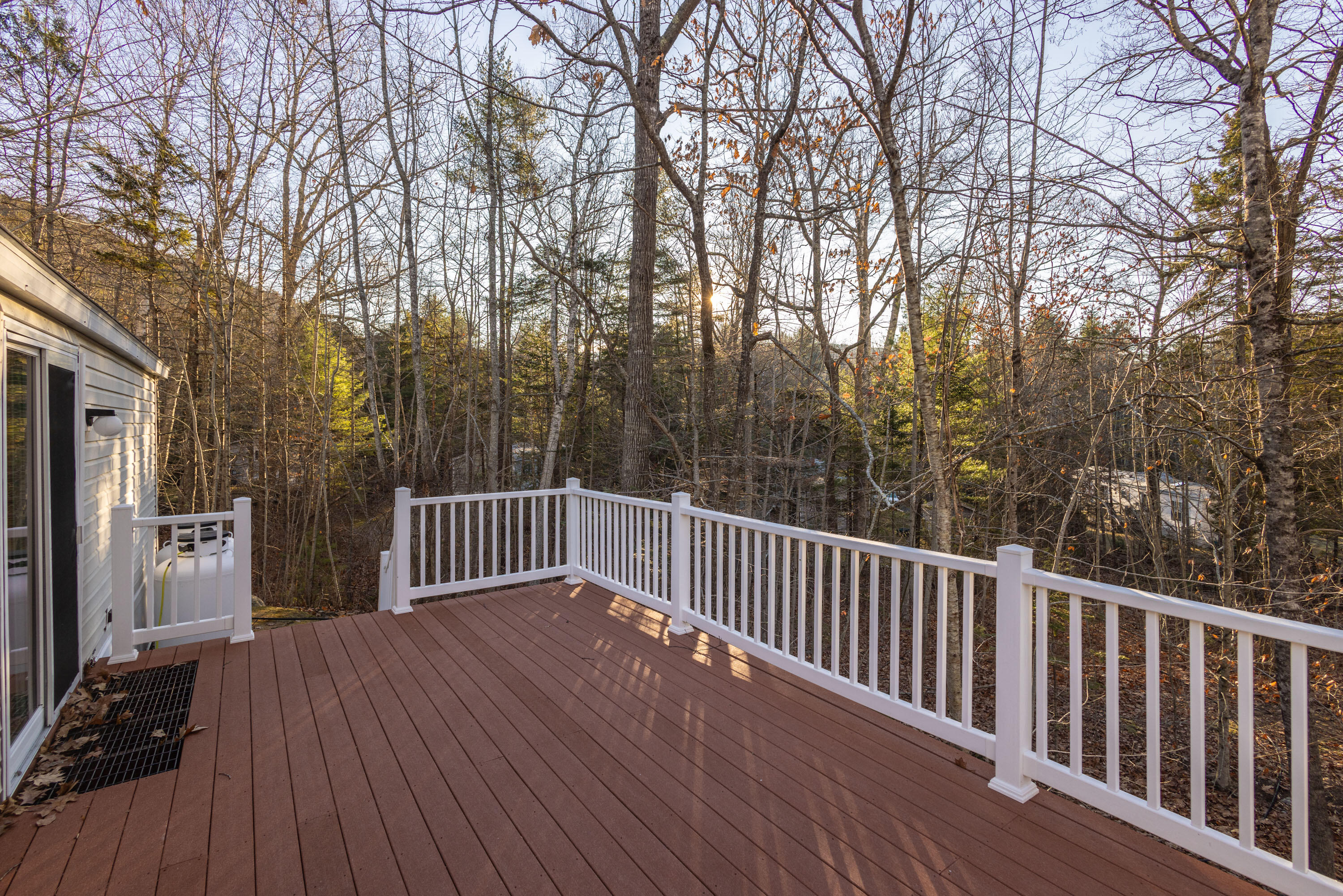 11 A Mountainside Park