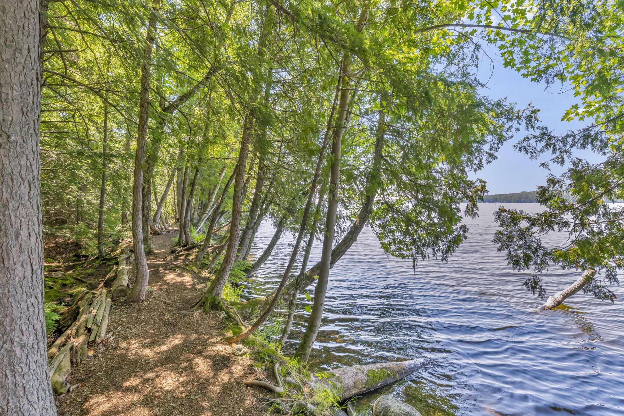 37 Loon Drive