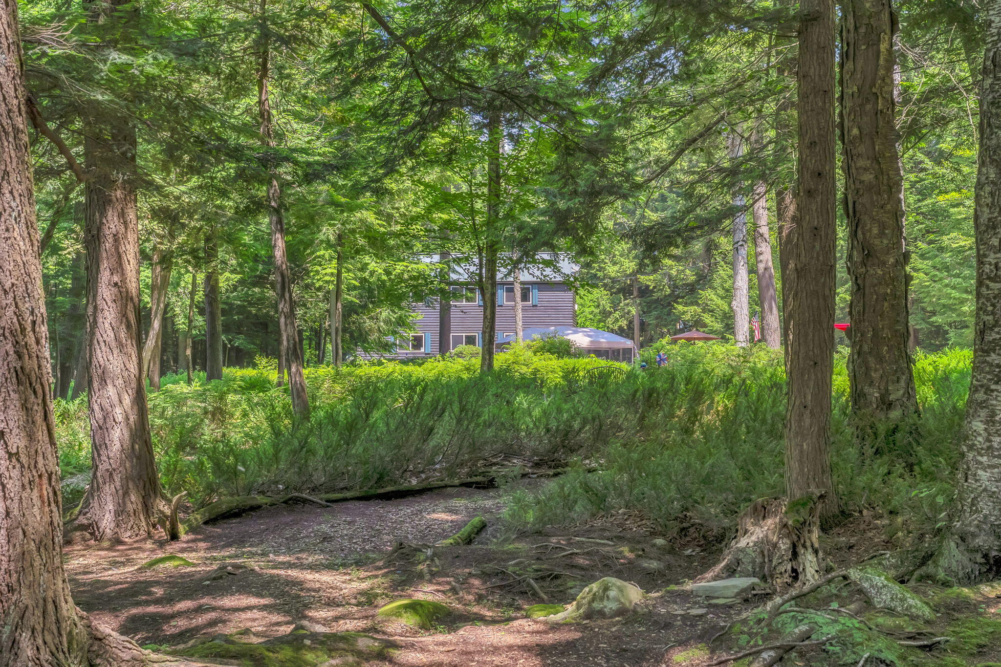 37 Loon Drive