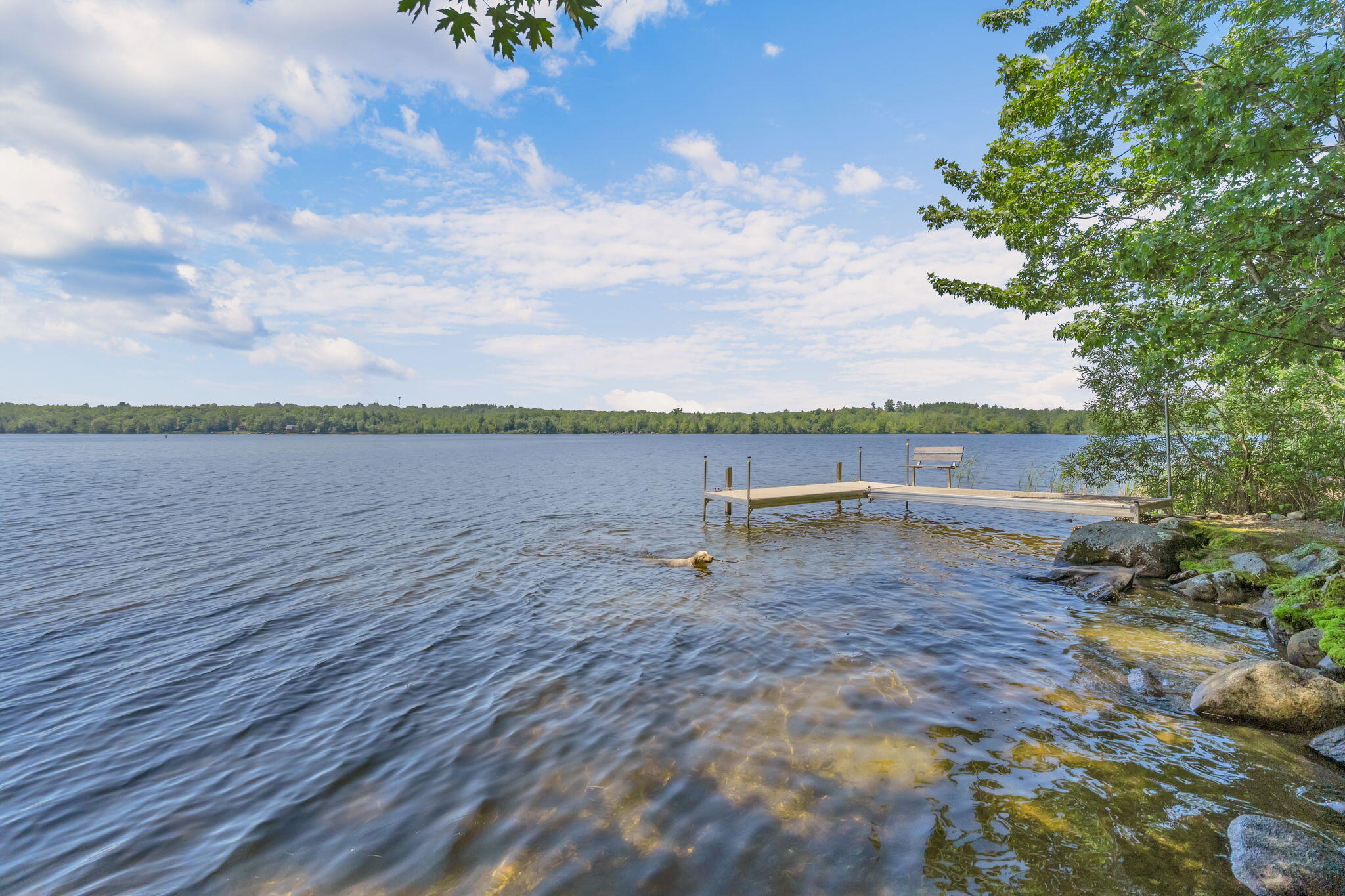 37 Loon Drive
