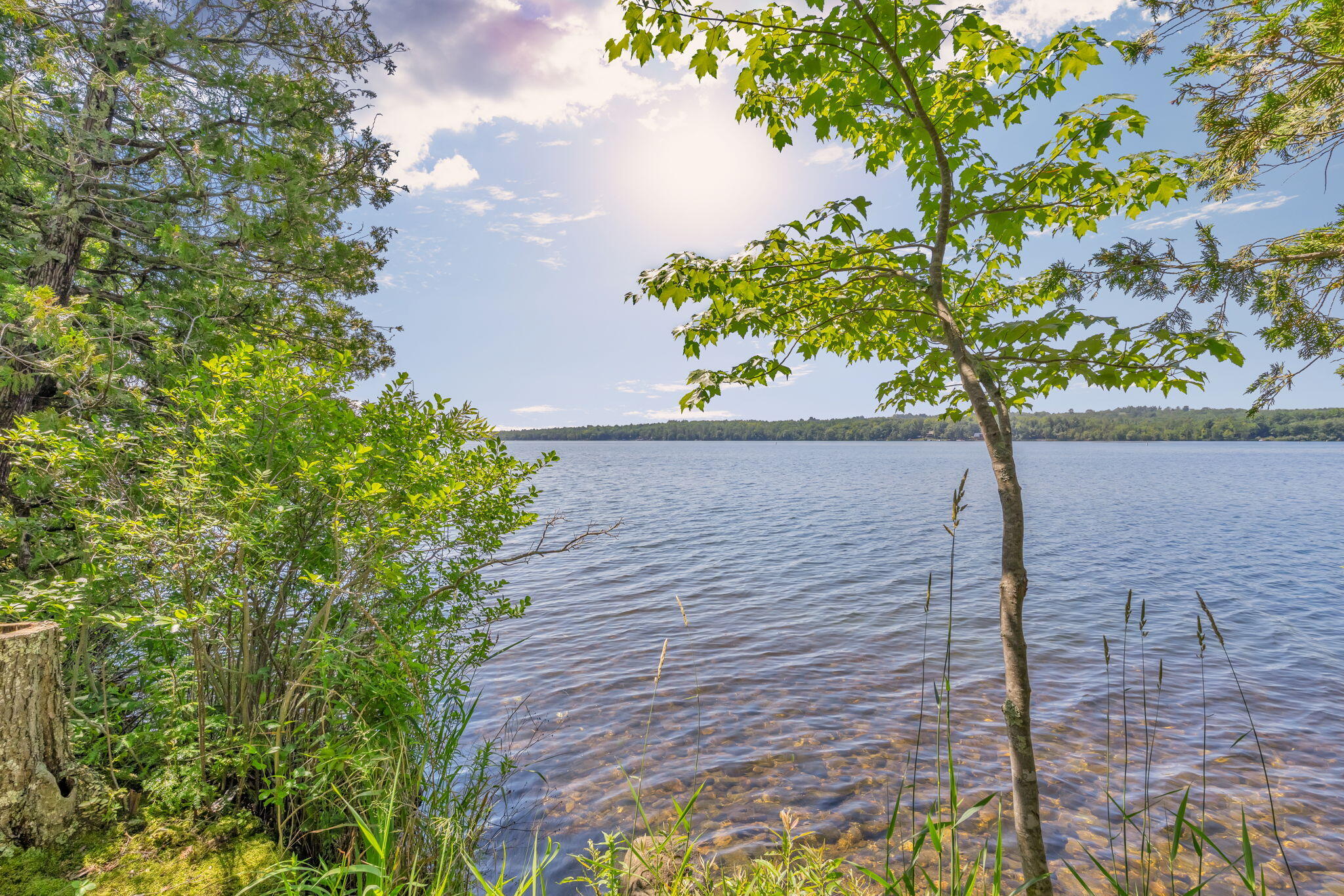 37 Loon Drive