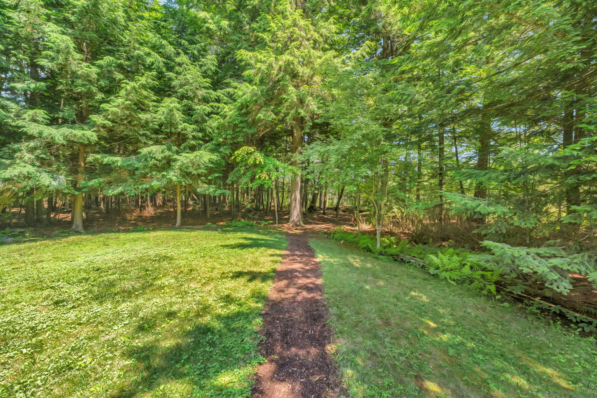 37 Loon Drive