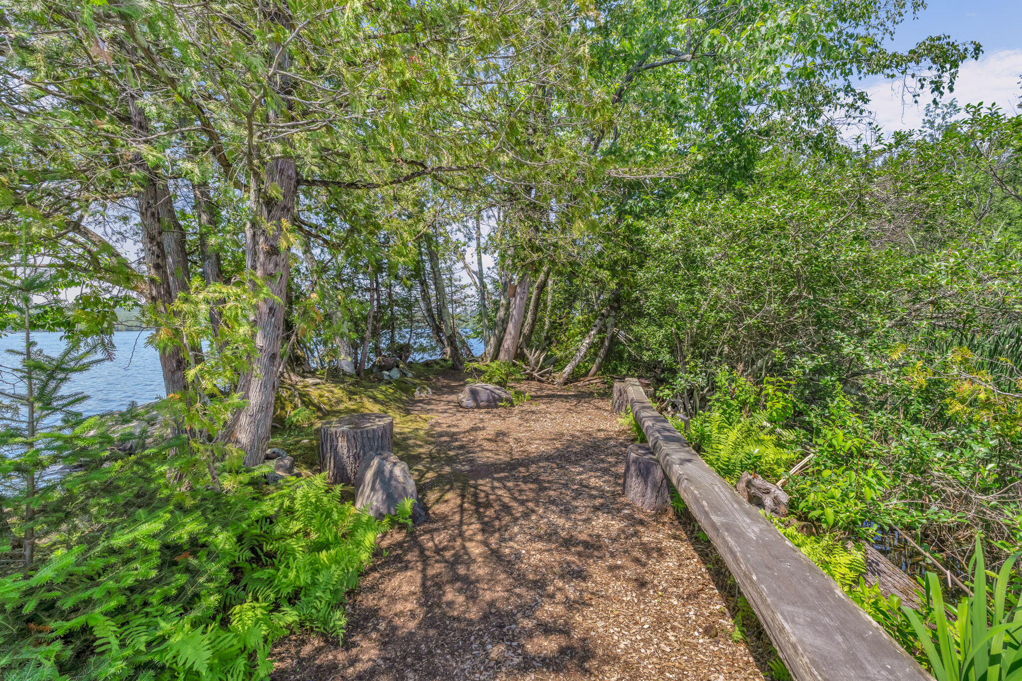 37 Loon Drive