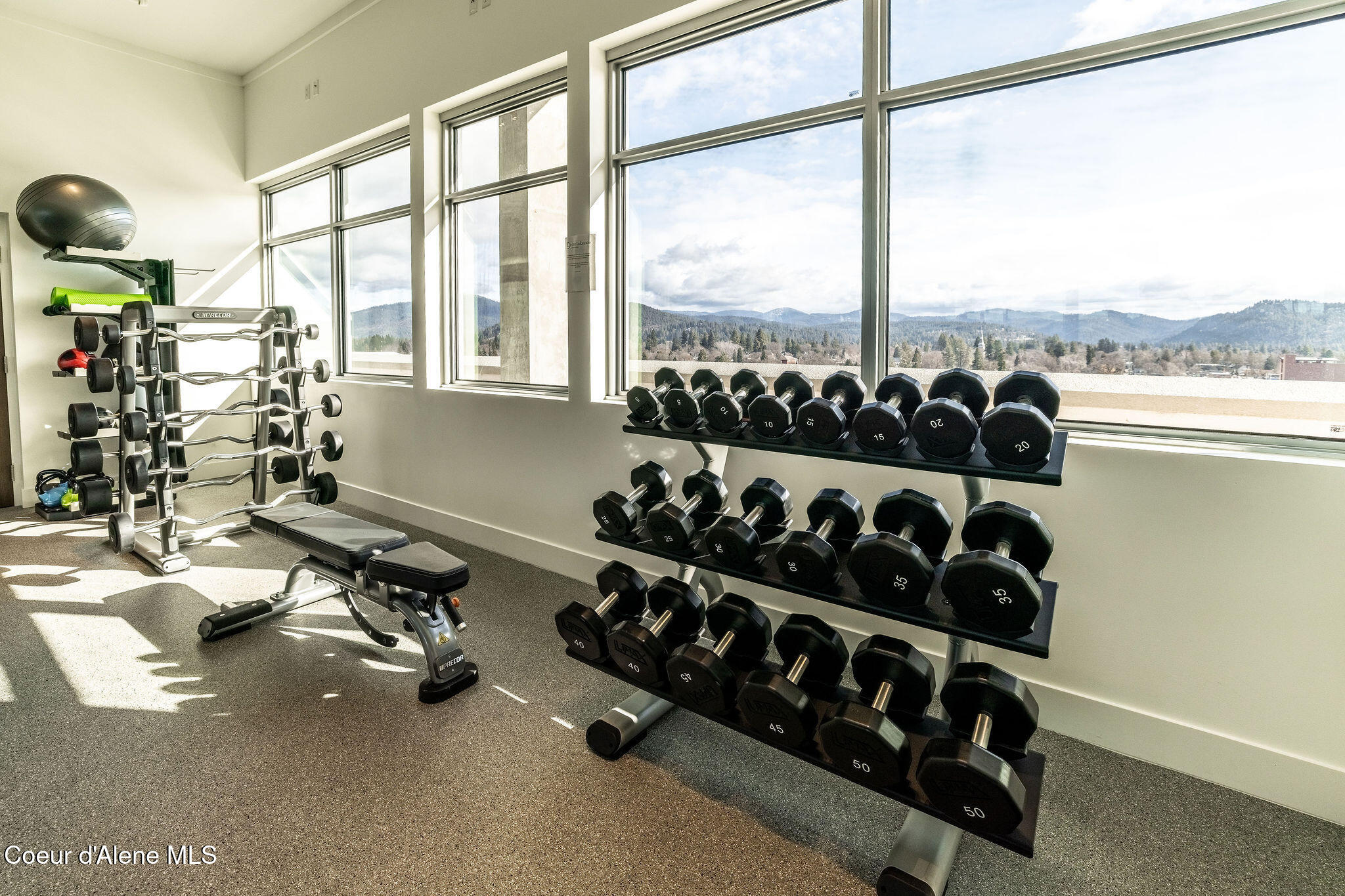 201 N 1ST ST, 803, Coeur d'Alene Unit: 803