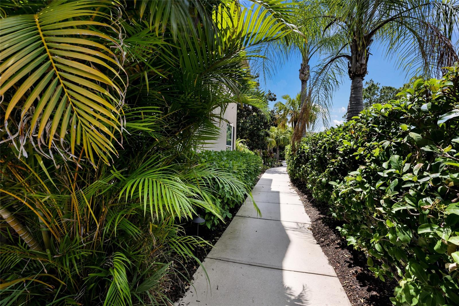 7906 ST SIMONS ST #7906