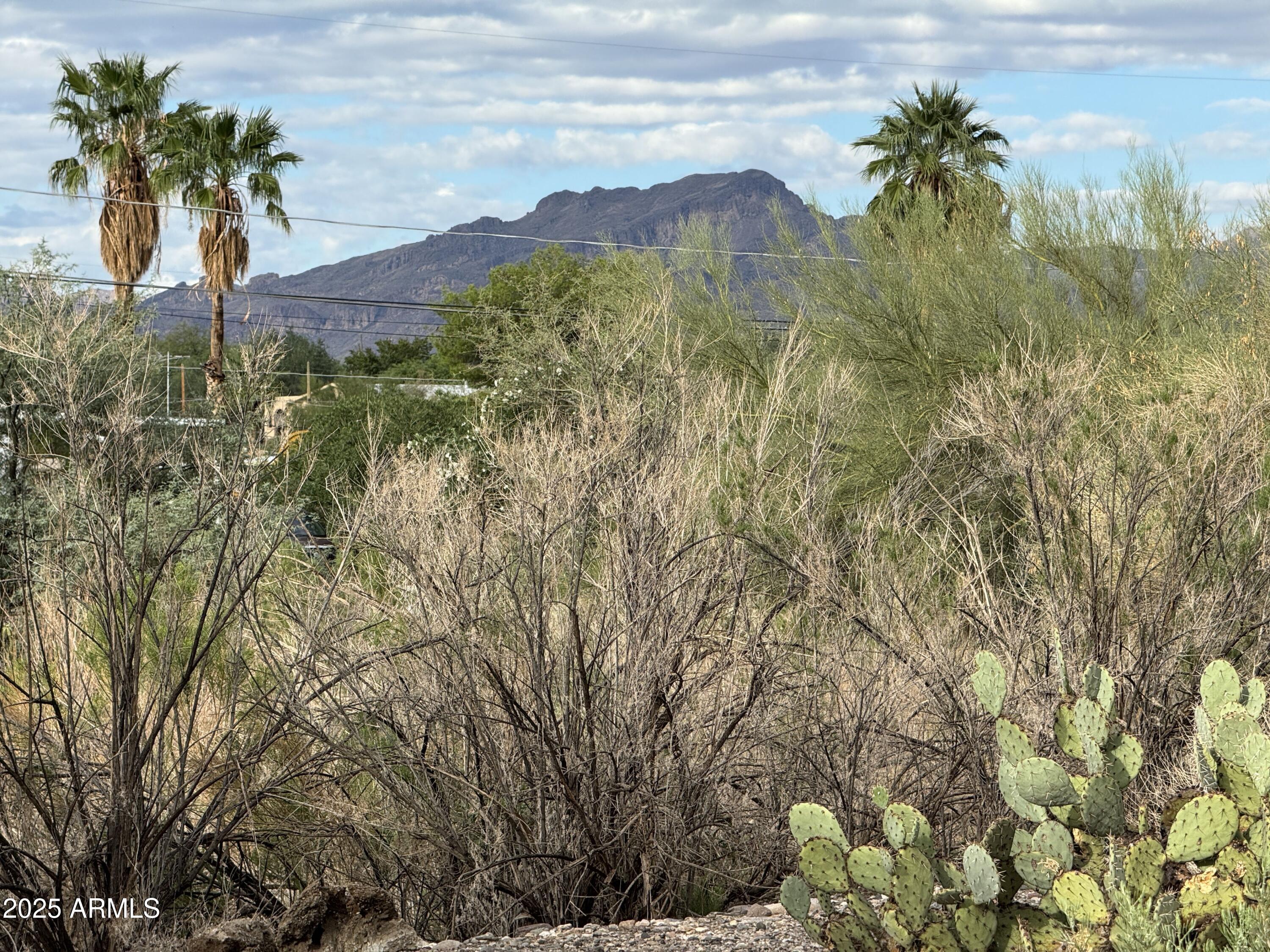 268 E QUEEN CREEK Drive 121,122,123