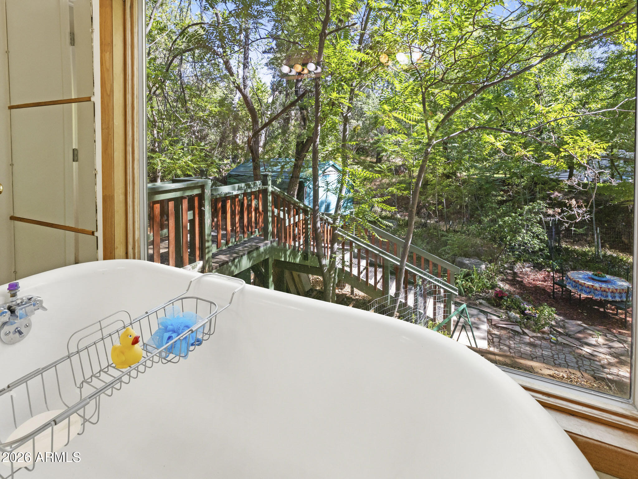 251 BEAR WALLOW Lane