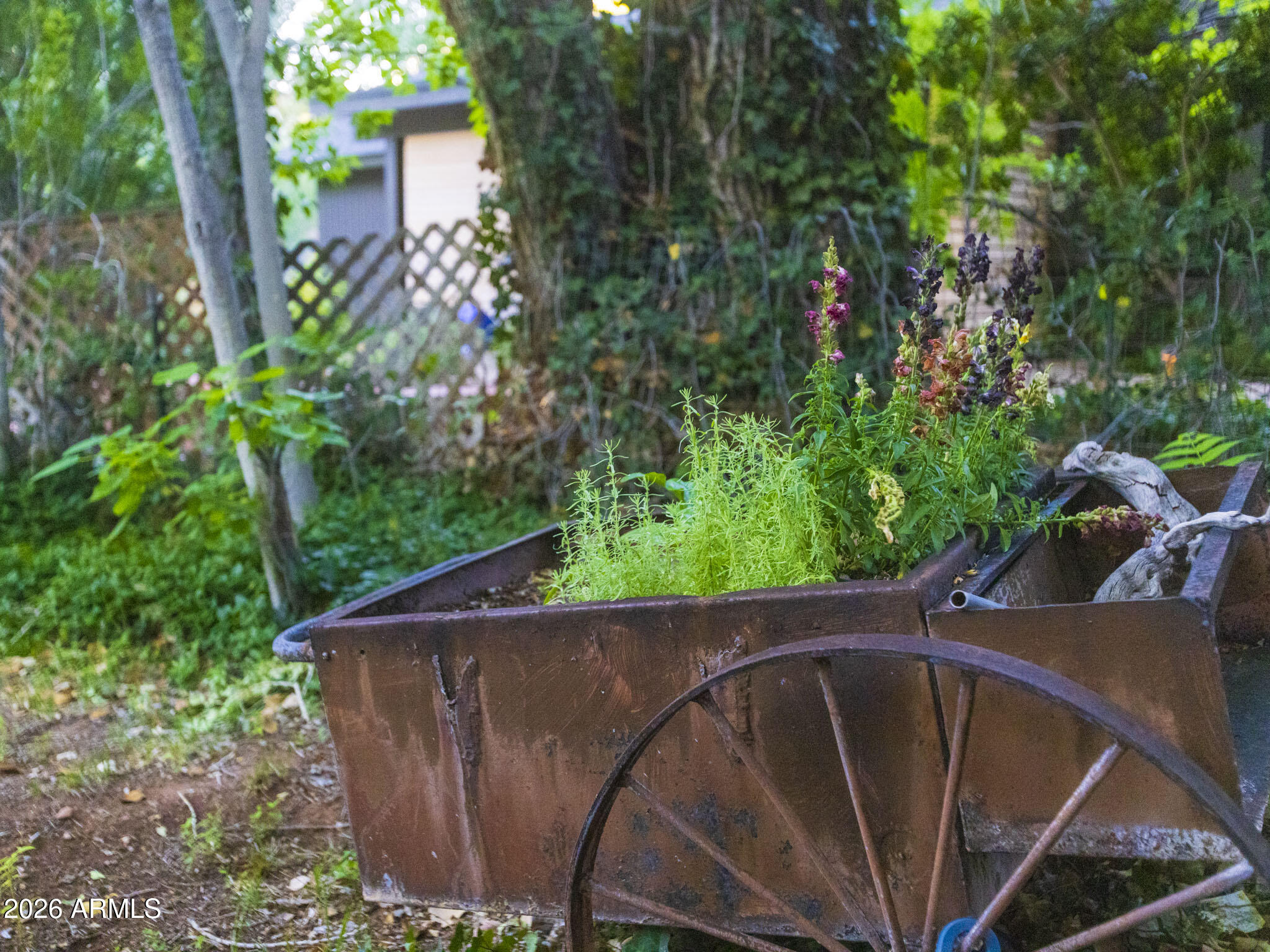 251 BEAR WALLOW Lane