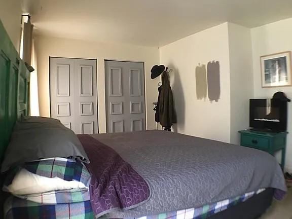 Bedroom with a large gray-covered bed, two paneled doors, and a television on a teal stand.