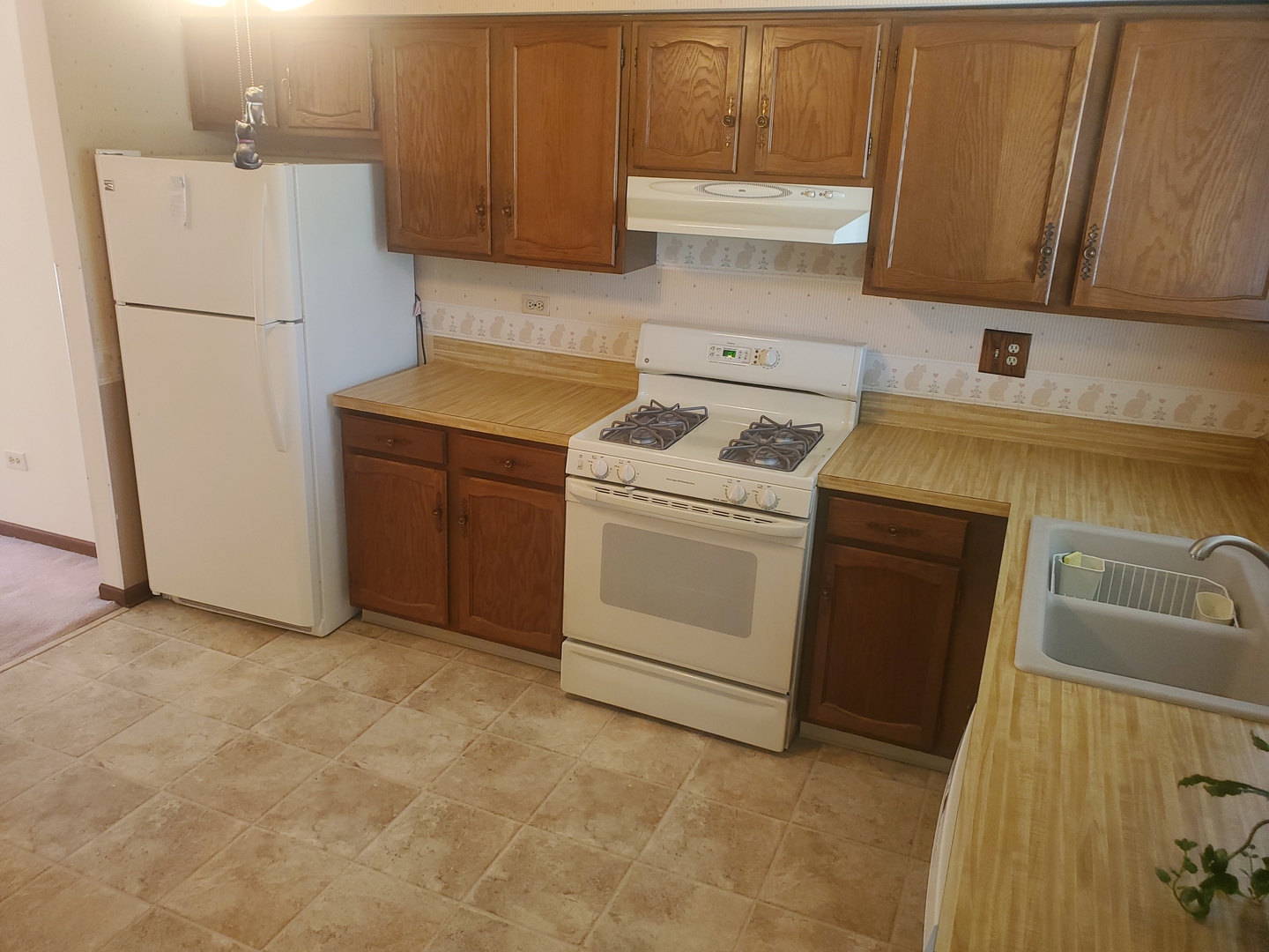 5159 N East River Road Unit: 307D