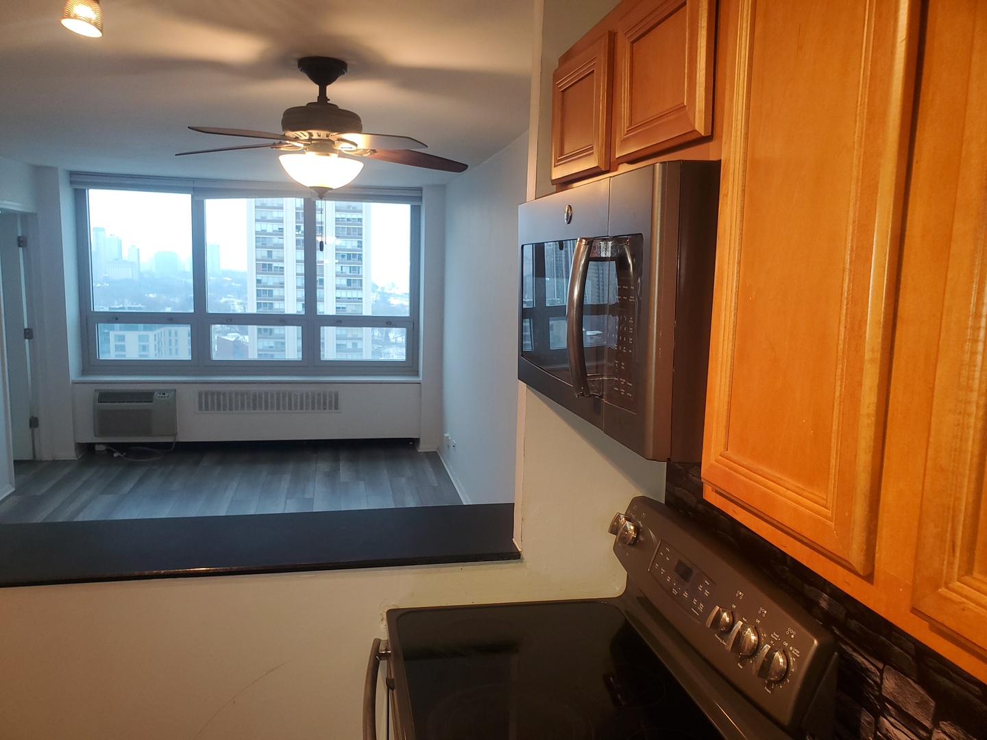 88 W SCHILLER Street Unit: 2305L