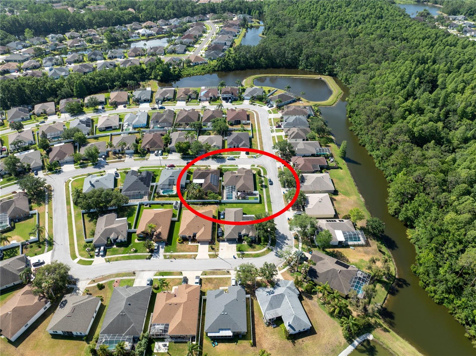 1447 STETSON DR