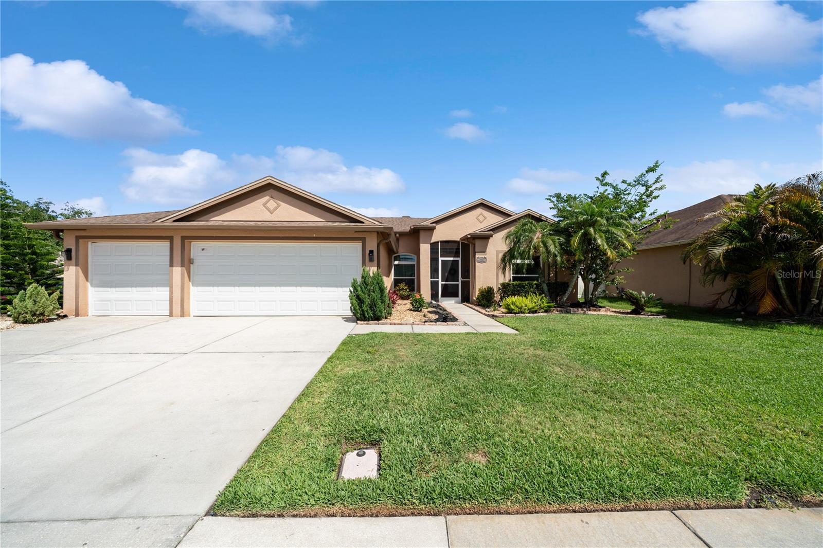 1447 STETSON DR