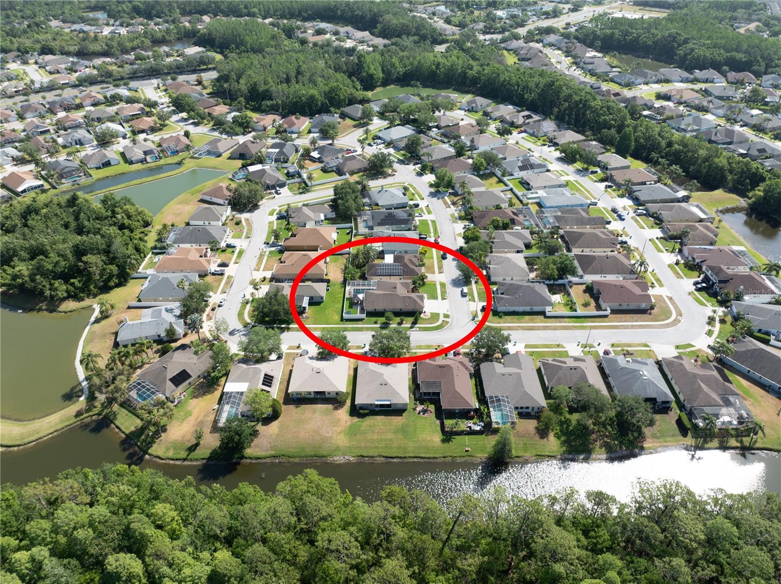 1447 STETSON DR