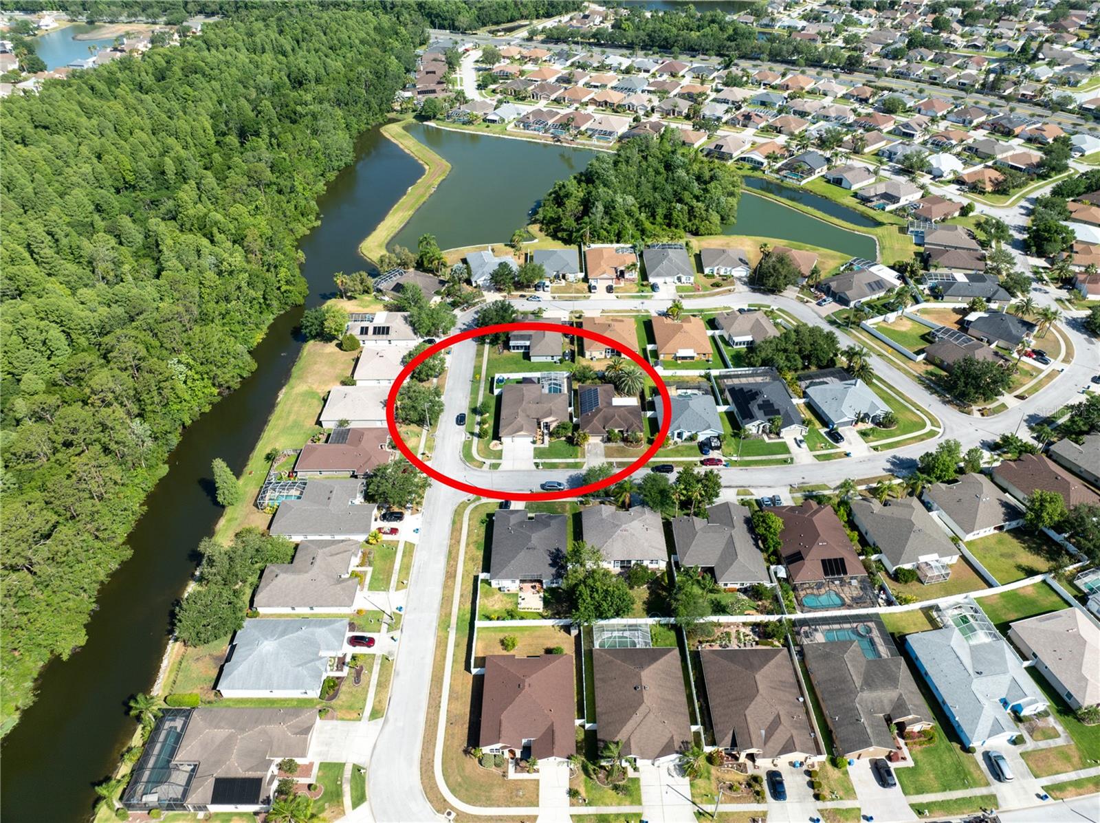 1447 STETSON DR