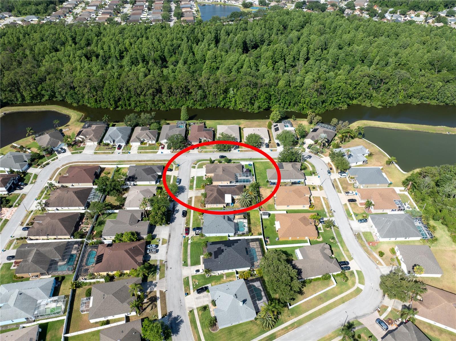 1447 STETSON DR