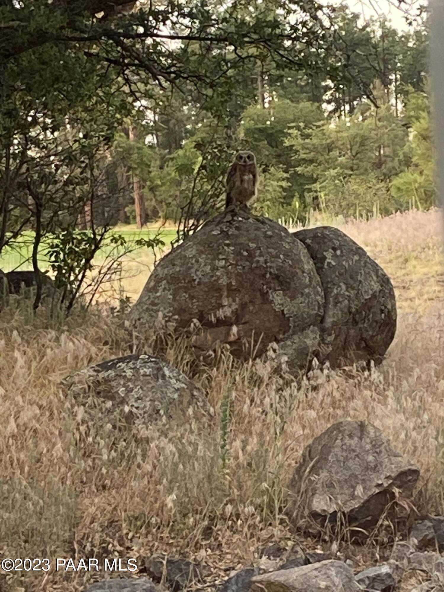 1716 Alpine Meadows Lane Unit: 807