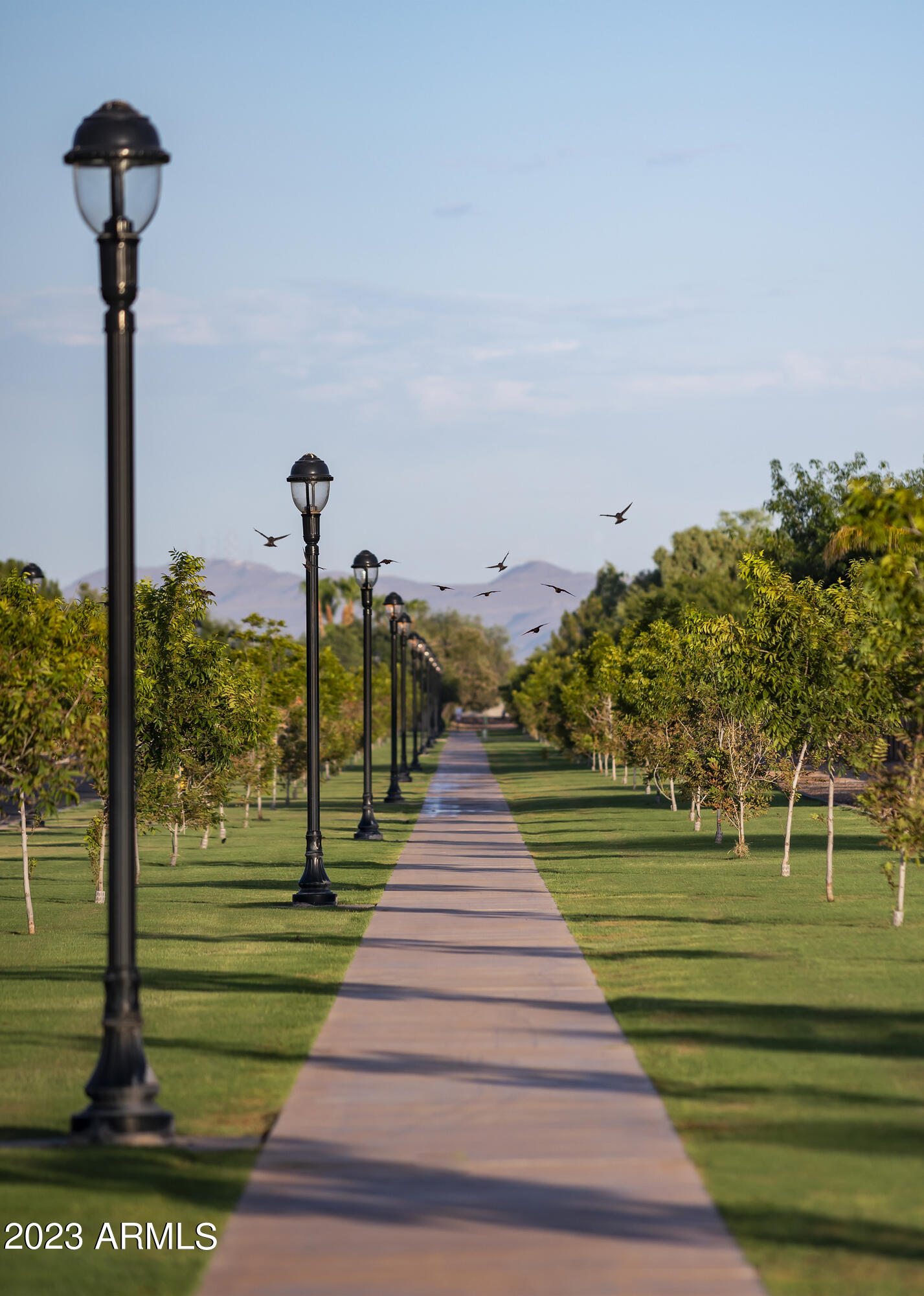 3898 E SAGEBRUSH Street, Gilbert