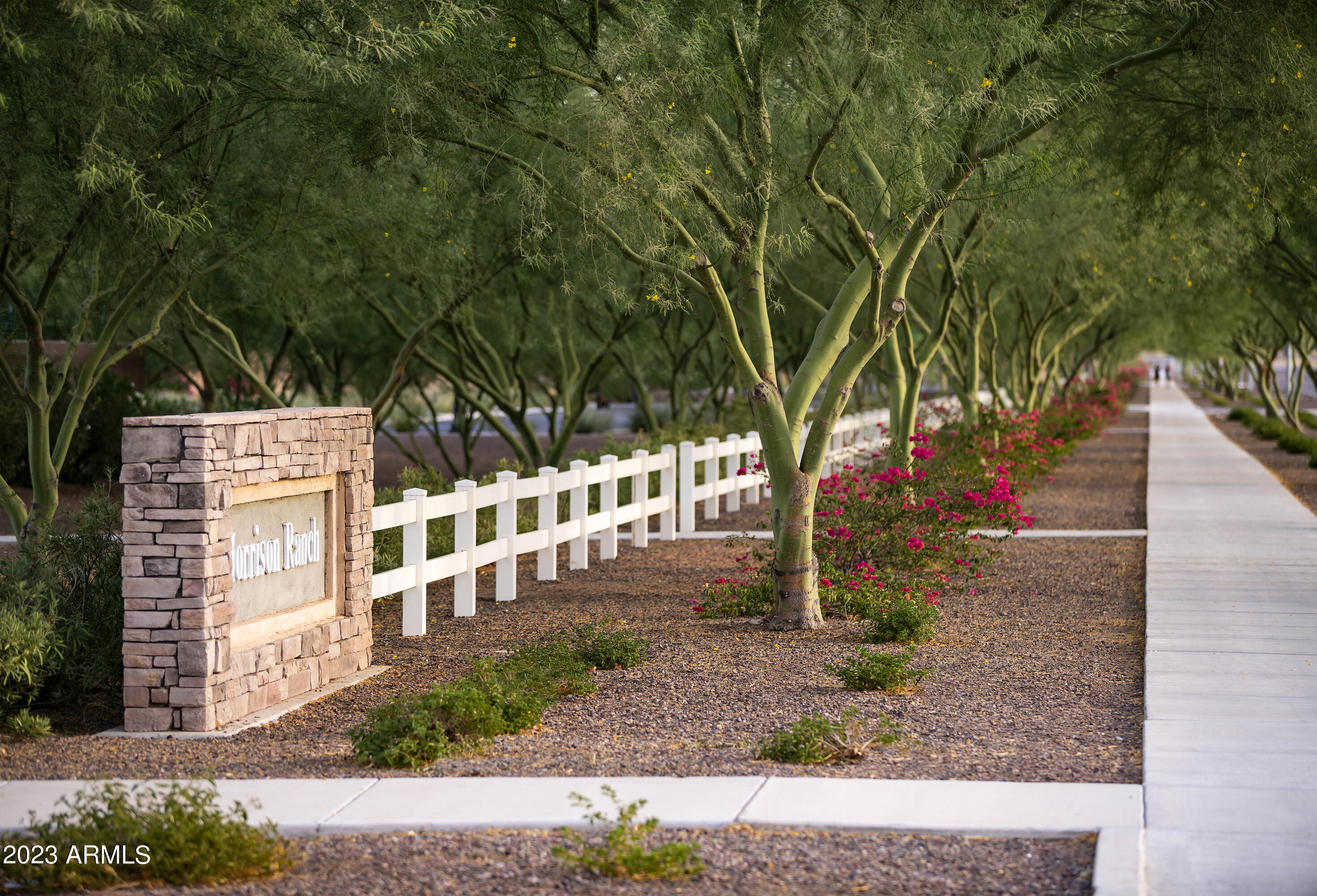 3898 E SAGEBRUSH Street, Gilbert